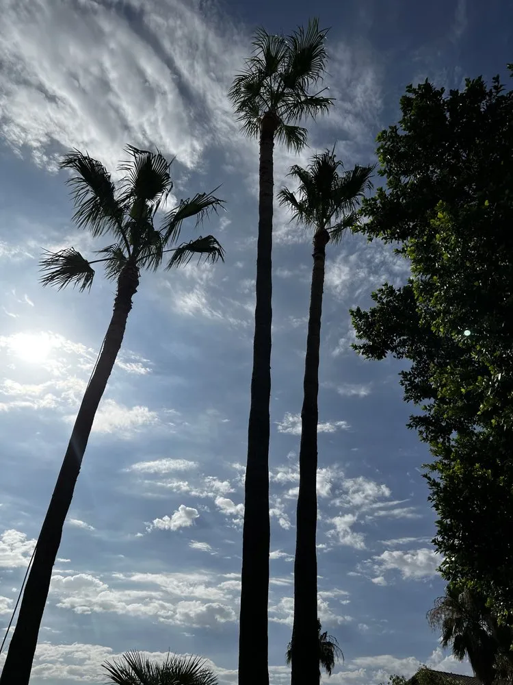 Affordable landscape installation for outdoor upgrades in Phoenix, AZ by Ortiz Brothers Landscaping