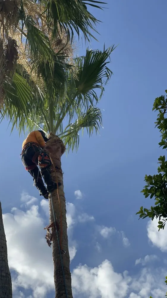 Custom outdoor landscaping experts serving Phoenix, AZ - Ortiz Brothers Landscaping