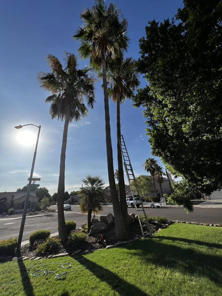 Local landscaping services experts serving Phoenix, AZ - Ortiz Brothers Landscaping