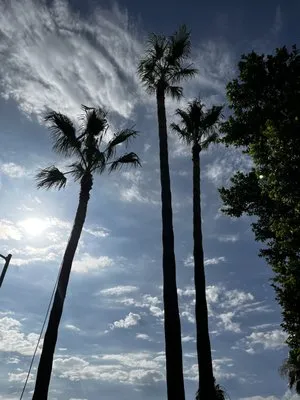 Ortiz Brothers Landscaping Logo