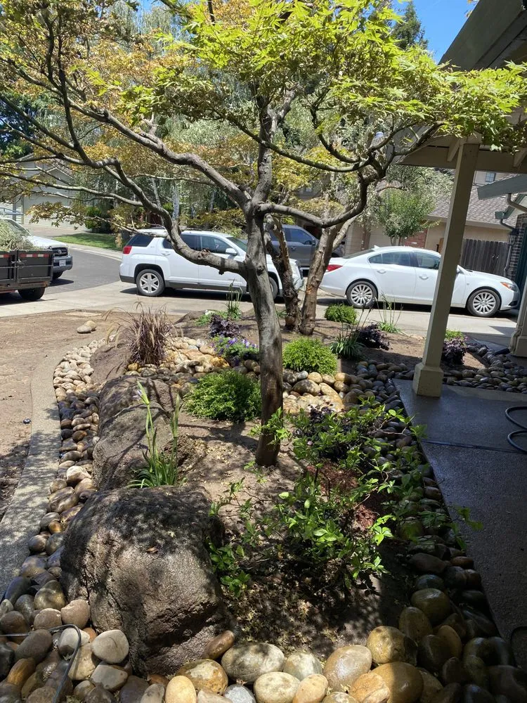 Reliable landscape design in Lodi, CA - Ortiz Custom Landscaping