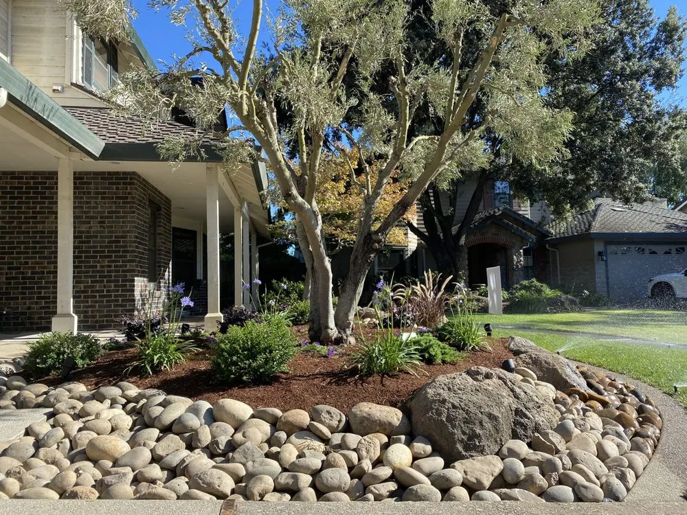 Affordable landscaping services near you across Lodi, CA - Ortiz Custom Landscaping