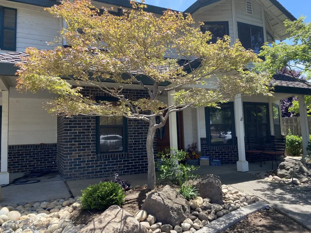 Local landscape installation in Lodi, CA by Ortiz Custom Landscaping