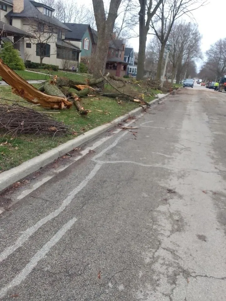 Reliable outdoor landscaping in Chicago, IL - Ortiz-Garcia Landscaping