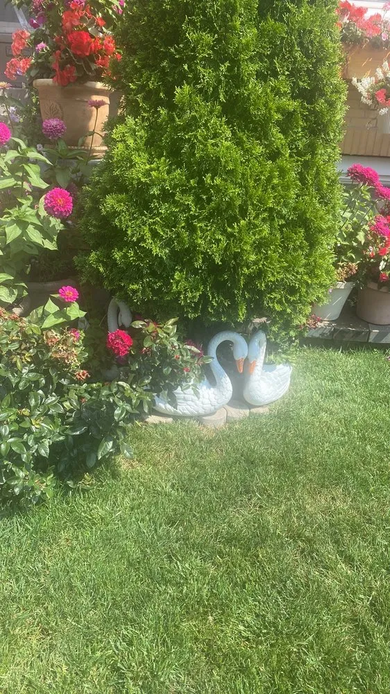 Top-rated garden landscaping in Chicago, IL by Ortiz-Garcia Landscaping