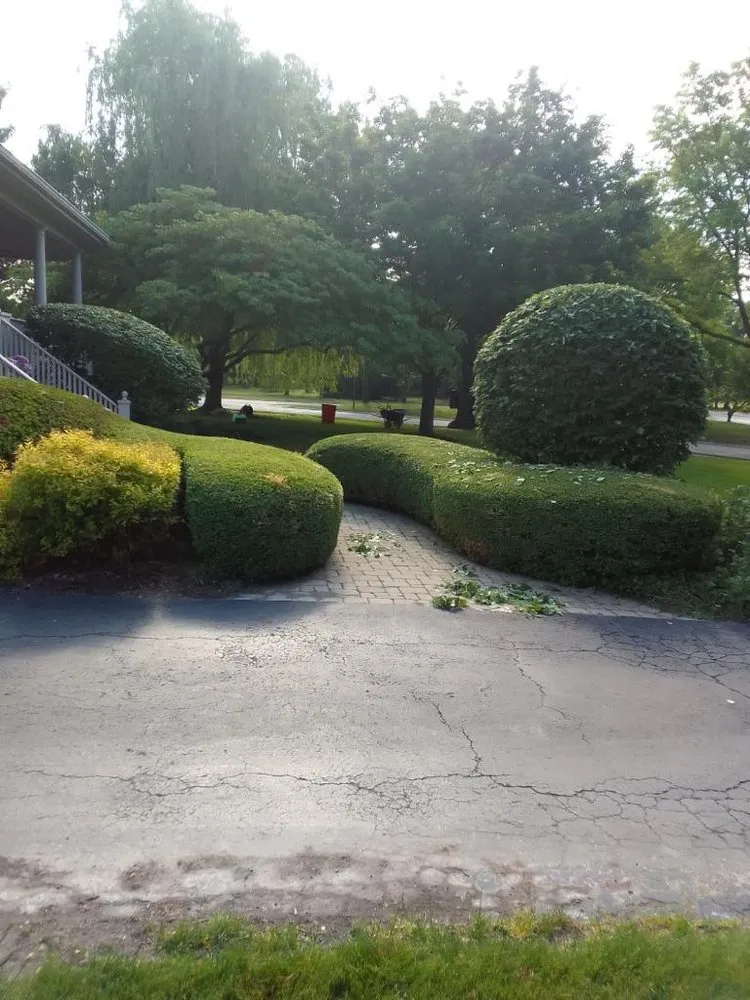 Professional lawn care service in Chicago, IL by Ortiz-Garcia Landscaping