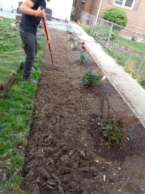 Custom yard cleanup service for year-round maintenance in Chicago, IL by Ortiz-Garcia Landscaping