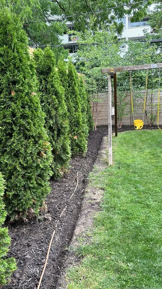 Local lawn care service in Pomona, CA - Ortiz Gardening