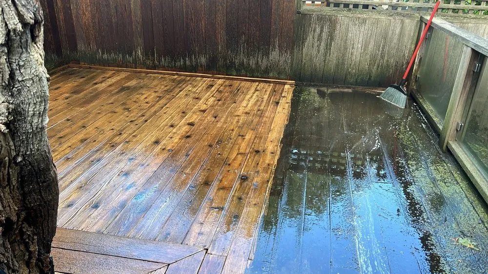 Affordable outdoor landscaping for year-round maintenance across Pomona, CA - Ortiz Gardening