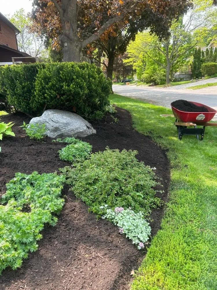 Reliable yard maintenance in Pomona, CA by Ortiz Gardening