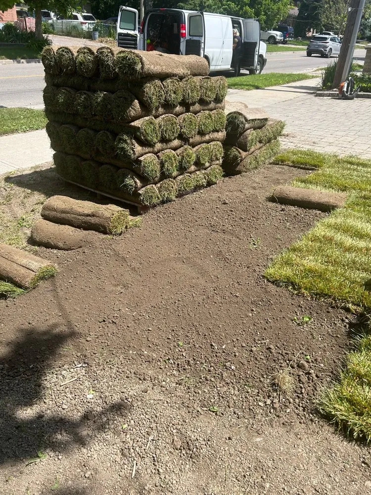 Affordable garden landscaping near you across Pomona, CA - Ortiz Gardening