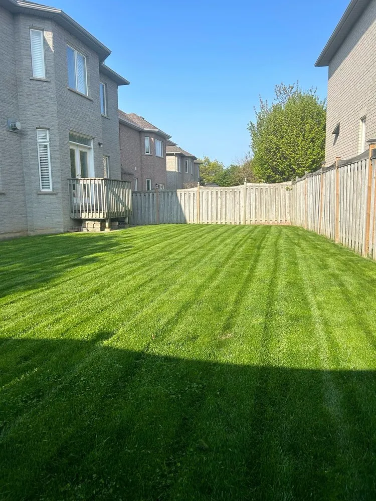 Custom landscape design experts serving Pomona, CA - Ortiz Gardening