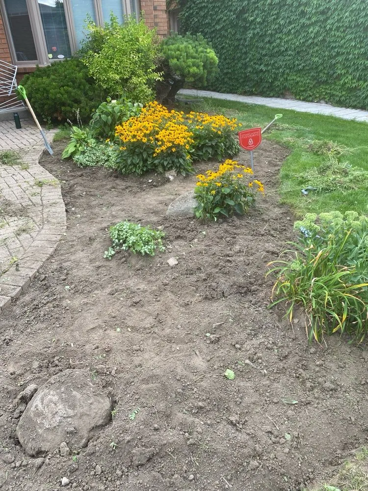 Trusted lawn care service experts serving Pomona, CA - Ortiz Gardening