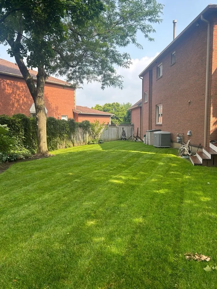 Custom lawn mowing service in Pomona, CA by Ortiz Gardening