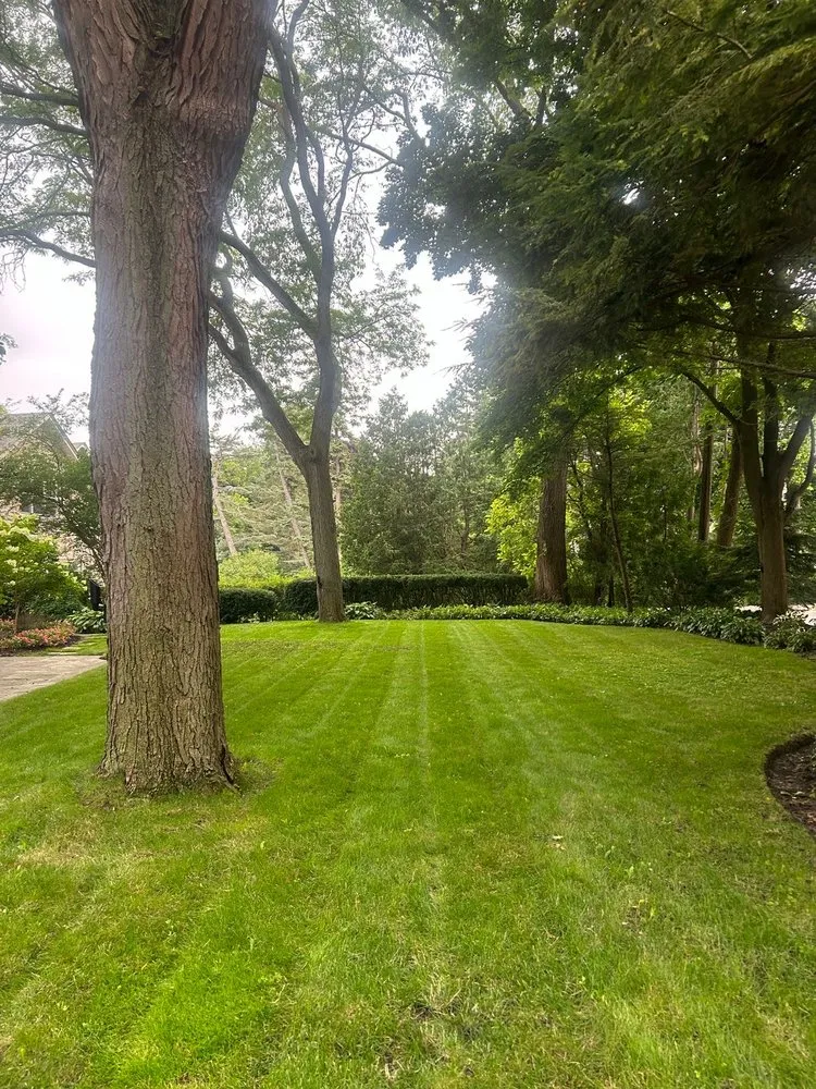 Local garden landscaping for homes across Pomona, CA - Ortiz Gardening