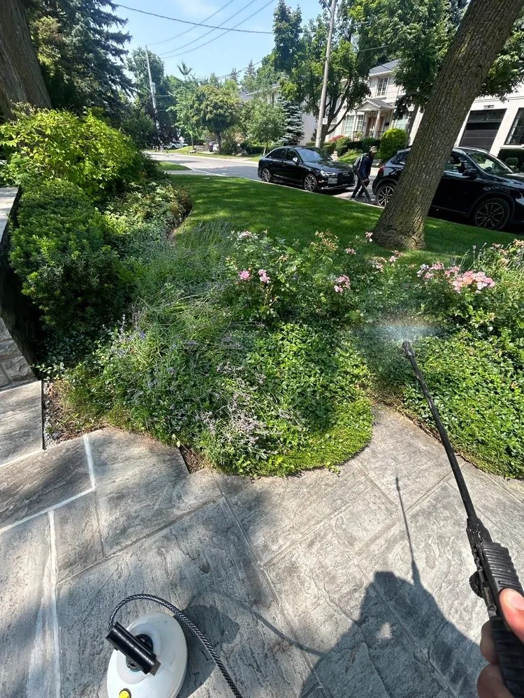 Local residential landscaping in Pomona, CA - Ortiz Gardening