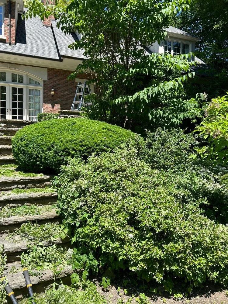 Expert landscape installation experts serving Pomona, CA - Ortiz Gardening