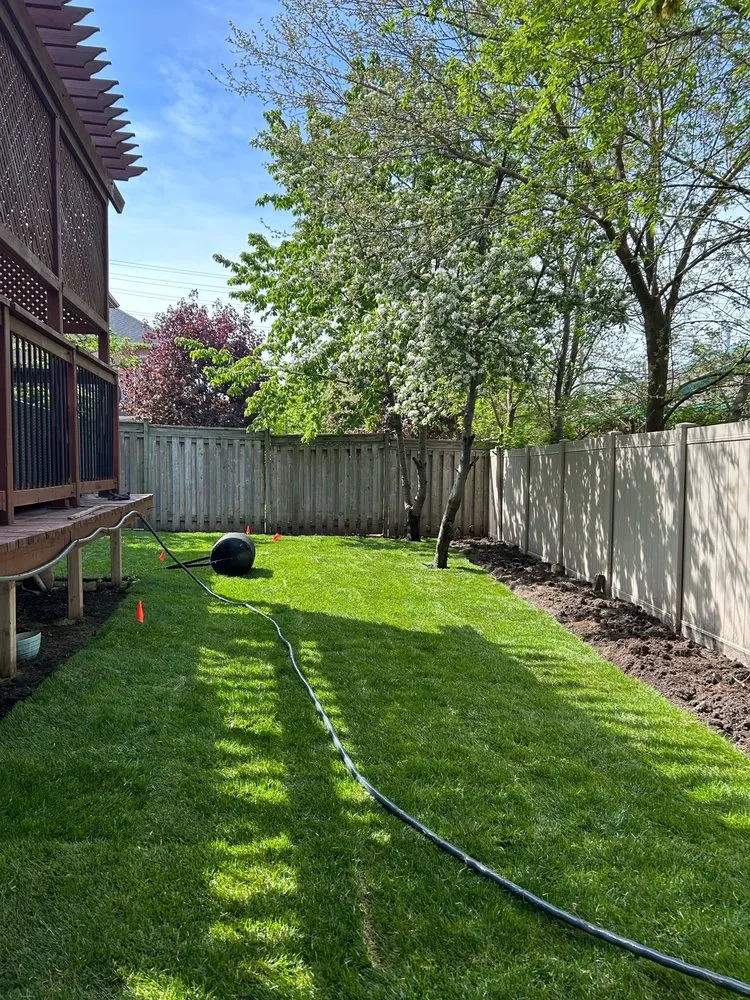 Expert yard cleanup service experts serving Pomona, CA - Ortiz Gardening