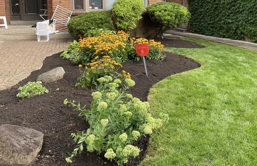 Professional yard maintenance in Pomona, CA by Ortiz Gardening