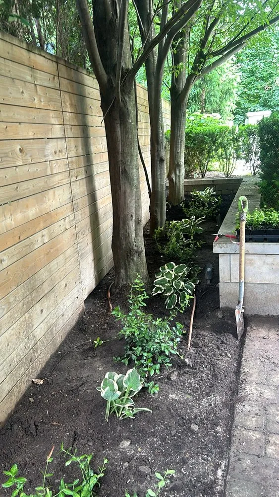 Local landscape installation in Pomona, CA - Ortiz Gardening