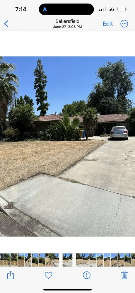 Reliable lawn care service experts serving Bakersfield, CA - Ortiz Gardening Services