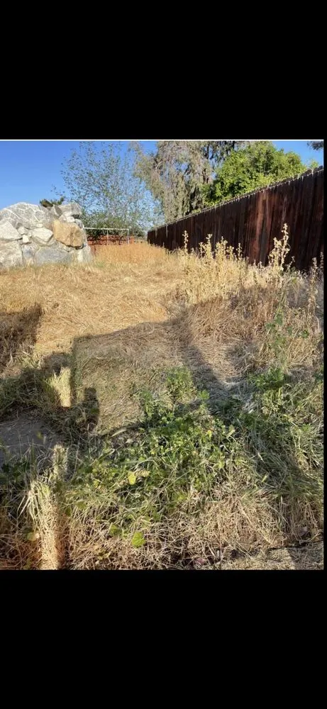 Custom lawn mowing service near you in Bakersfield, CA by Ortiz Gardening Services