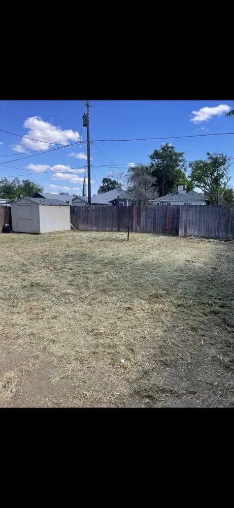 Trusted yard cleanup service in Bakersfield, CA - Ortiz Gardening Services