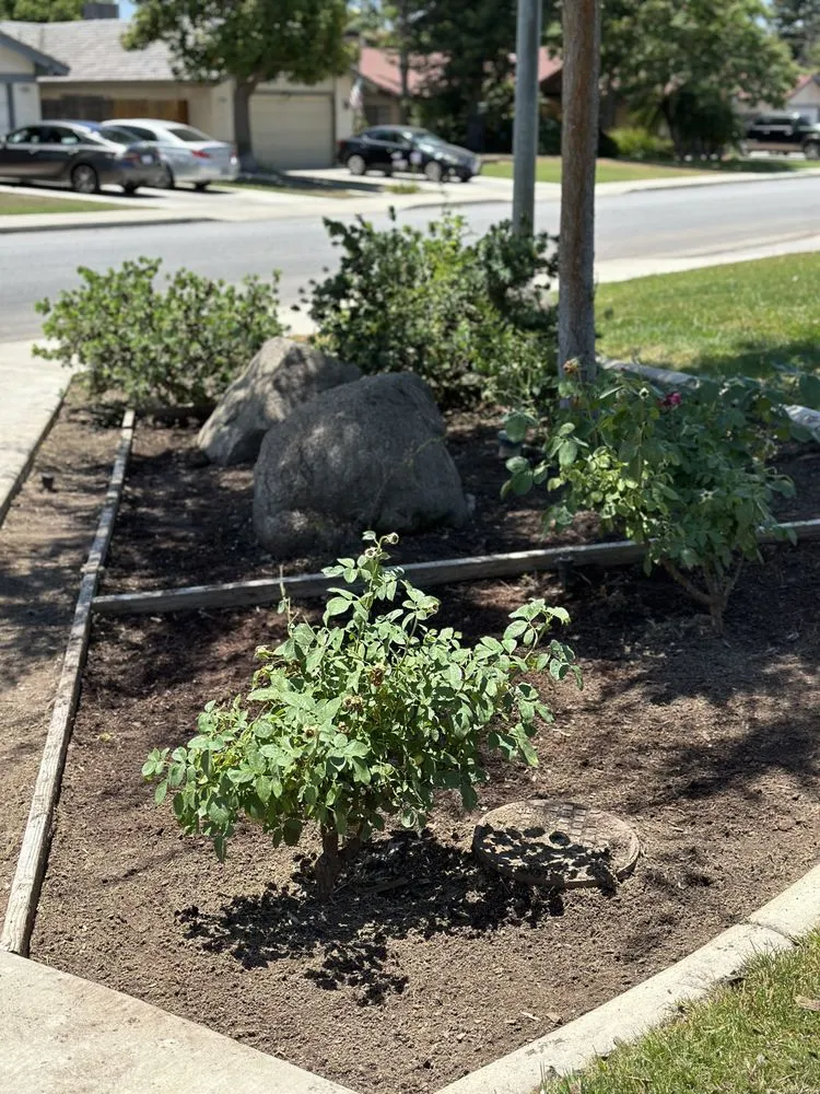 Expert yard cleanup service with custom design in Bakersfield, CA by Ortiz Gardening Services