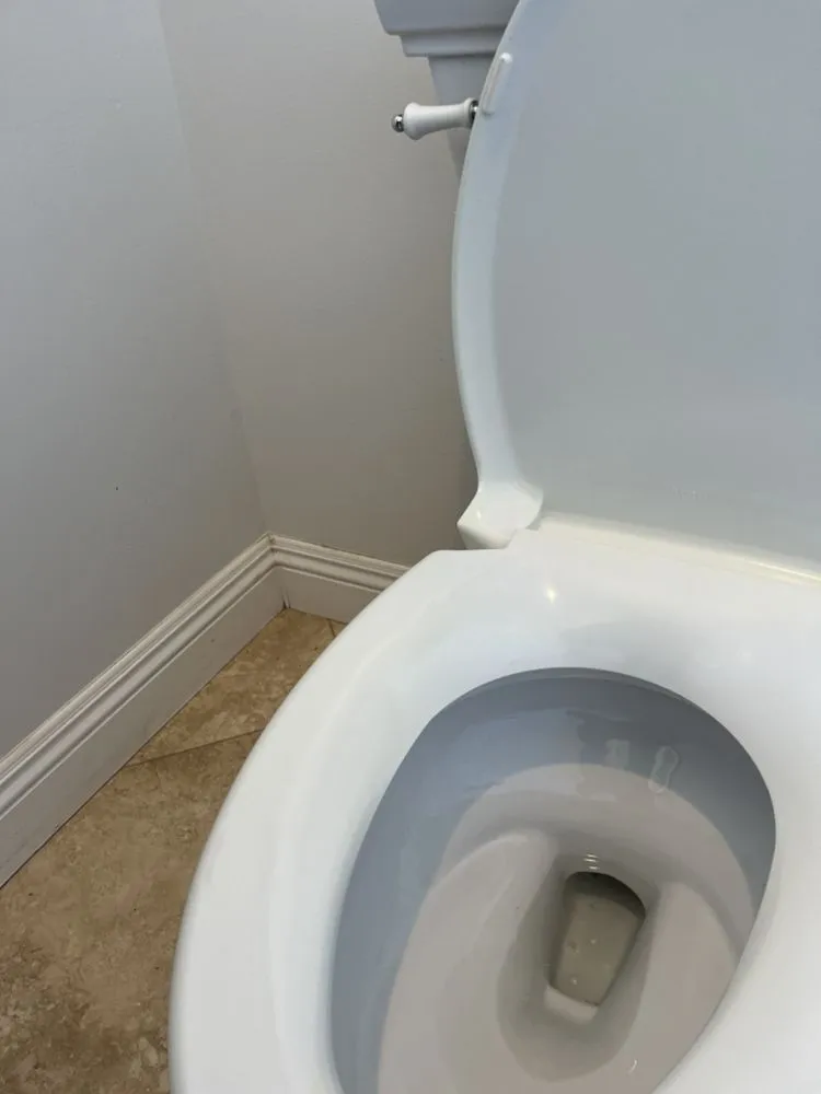 Top-rated yard cleanup service for residential properties in Escondido, CA by Ortiz Home Maintances