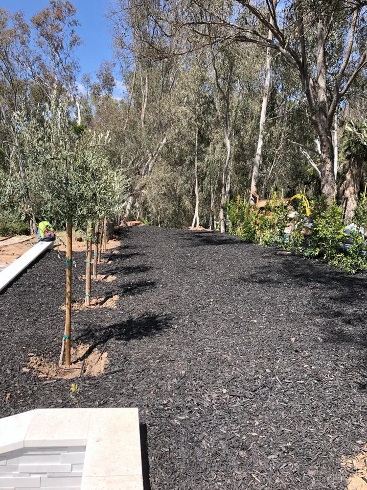 Custom yard maintenance experts serving Escondido, CA - Ortiz Home Maintances