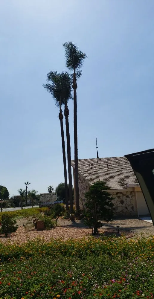 Top-rated landscape design in Santa Ana, CA by Ortiz Landscape & Tree Care