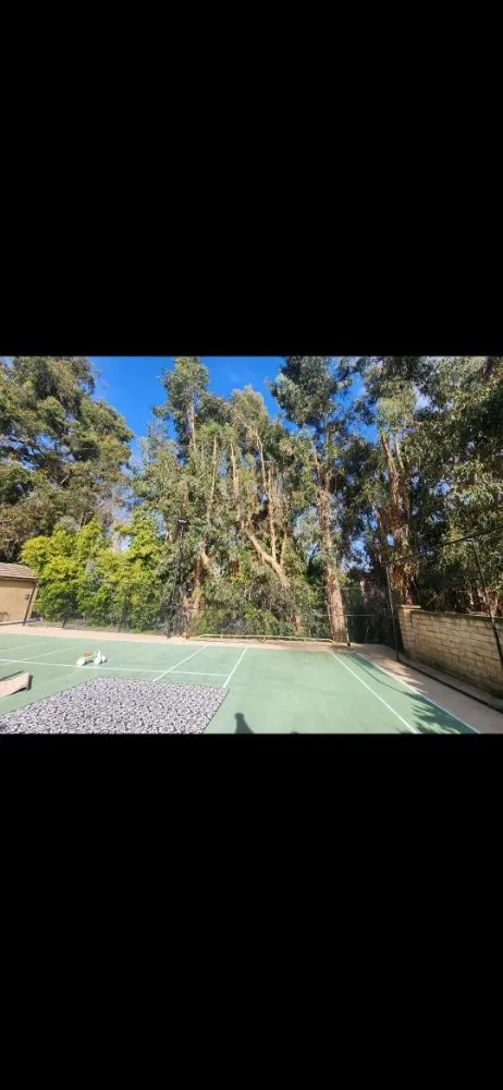 Expert landscape design in Santa Ana, CA - Ortiz Landscape & Tree Care