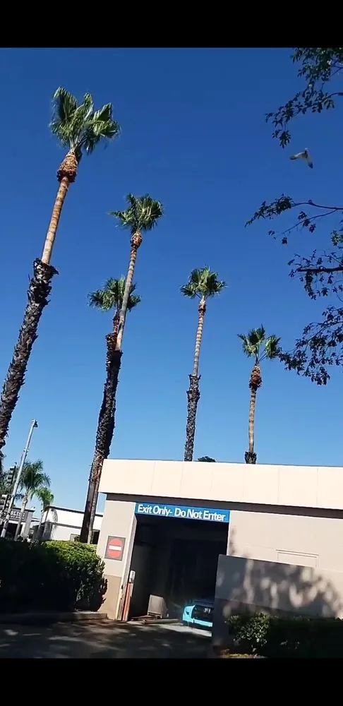 Reliable landscape installation for residential properties across Santa Ana, CA - Ortiz Landscape & Tree Care