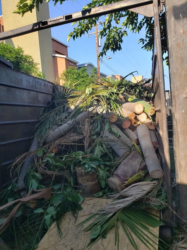 Reliable residential landscaping for residential properties in Santa Ana, CA by Ortiz Landscape & Tree Care