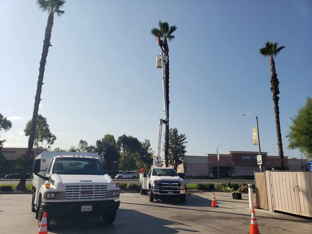 Professional landscaping services in Santa Ana, CA by Ortiz Landscape & Tree Care