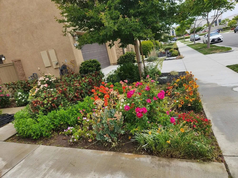 Professional lawn care service experts serving Santa Ana, CA - Ortiz Landscape & Tree Care