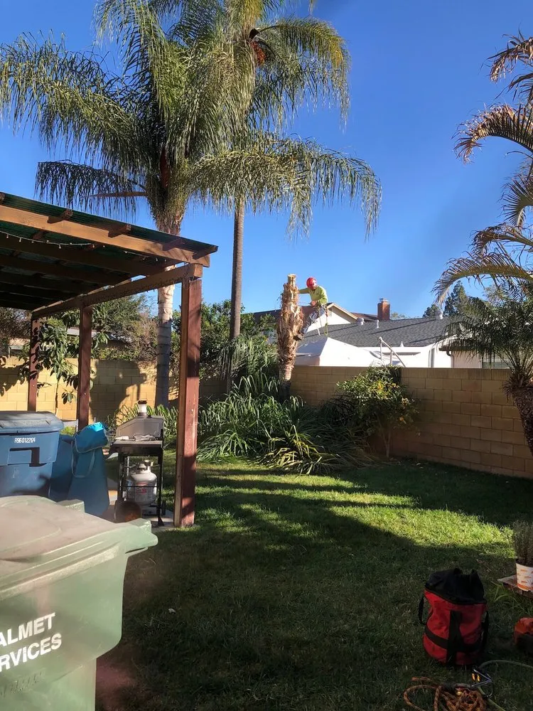 Affordable yard cleanup service experts serving Santa Ana, CA - Ortiz Landscape & Tree Care