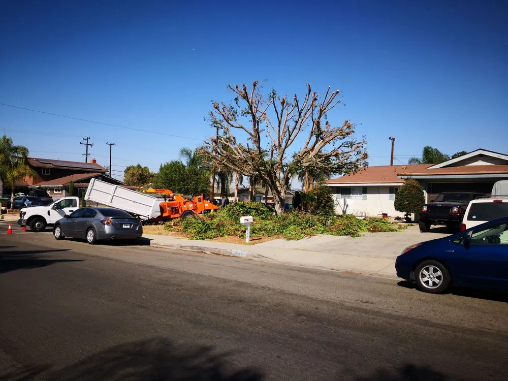 Top-rated outdoor landscaping for outdoor upgrades in Santa Ana, CA by Ortiz Landscape & Tree Care