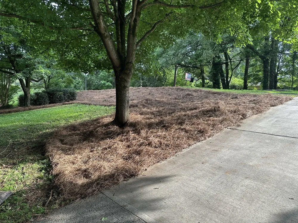 Affordable yard maintenance for homes in Loganville, GA by Ortiz Landscape