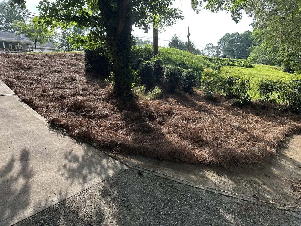 Custom landscape installation for outdoor upgrades across Loganville, GA - Ortiz Landscape