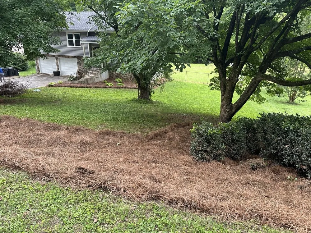 Local yard cleanup service in Loganville, GA - Ortiz Landscape