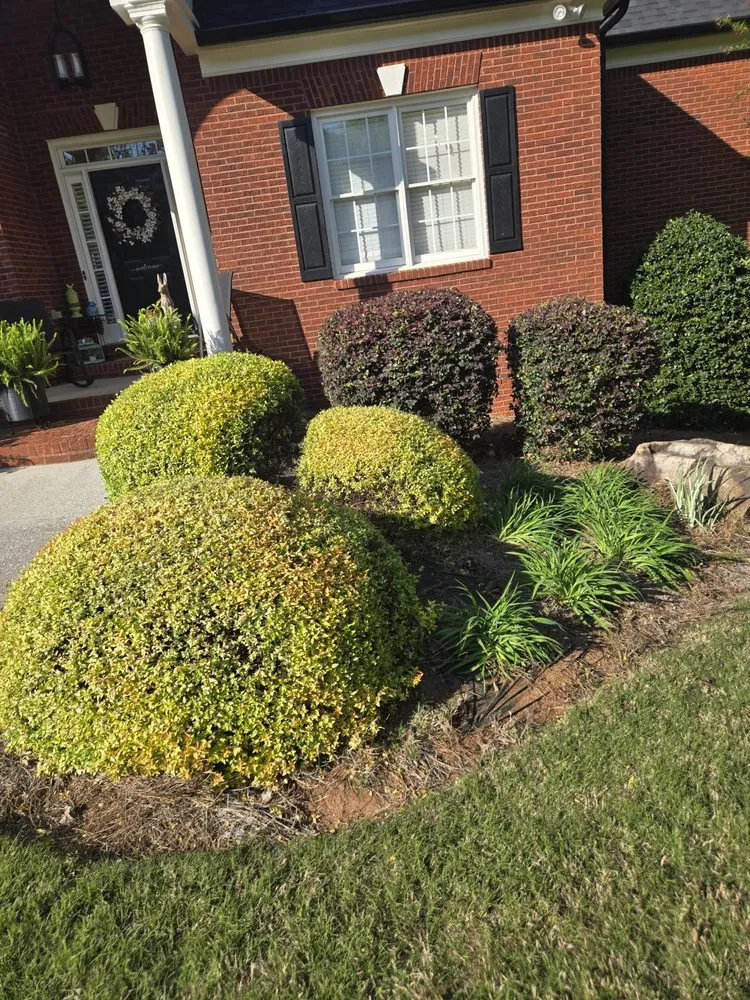 Trusted landscape design in Loganville, GA - Ortiz Landscape