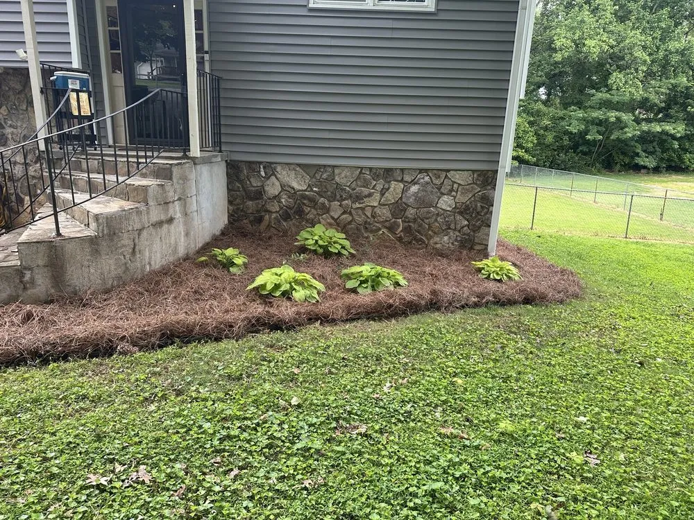 Trusted landscaping services in Loganville, GA by Ortiz Landscape