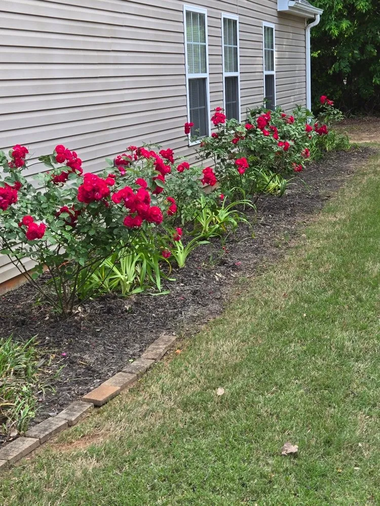 Professional outdoor landscaping near you across Loganville, GA - Ortiz Landscape