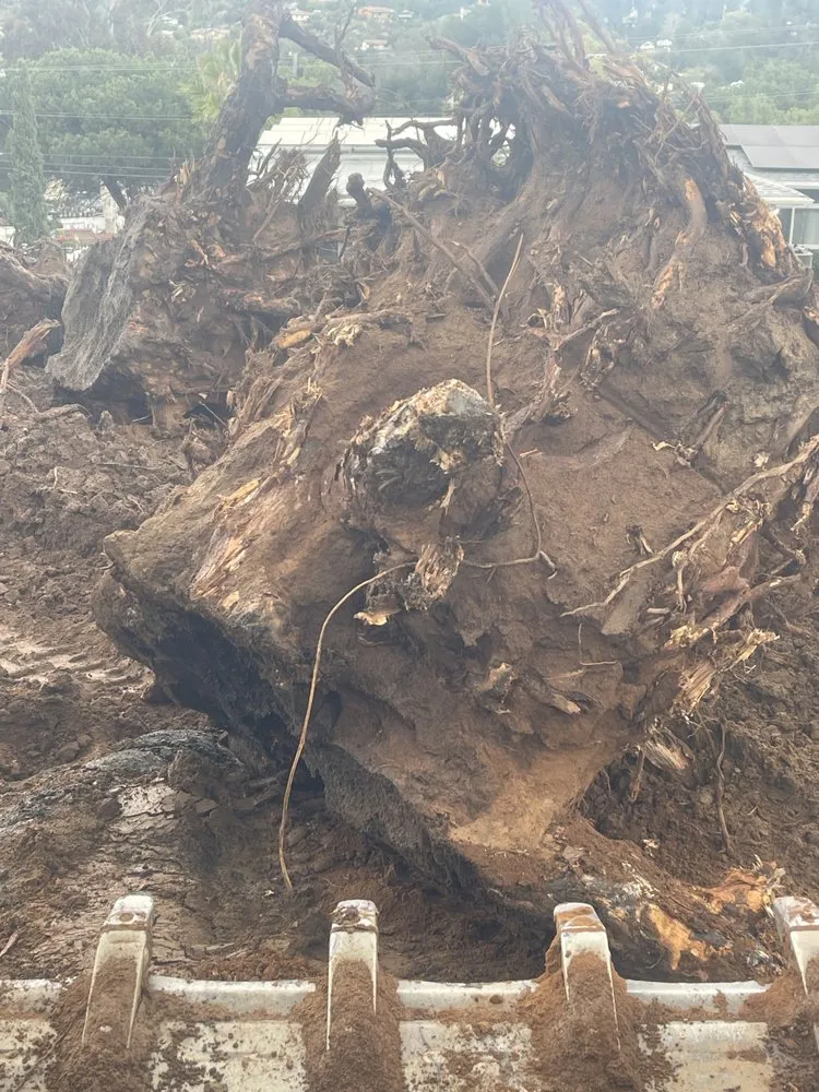 Professional landscaping services experts serving San Diego, CA - Ortiz Landscaping and Grading