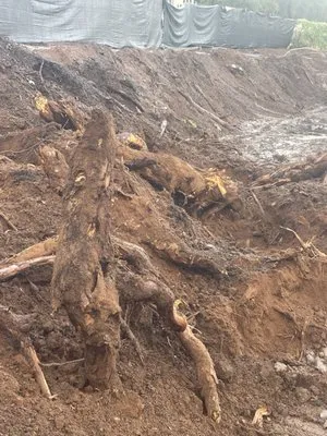 Ortiz Landscaping and Grading Logo