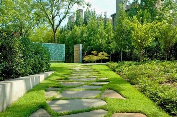 Affordable landscape design in Colorado Springs, CO by Ortiz Landscaping