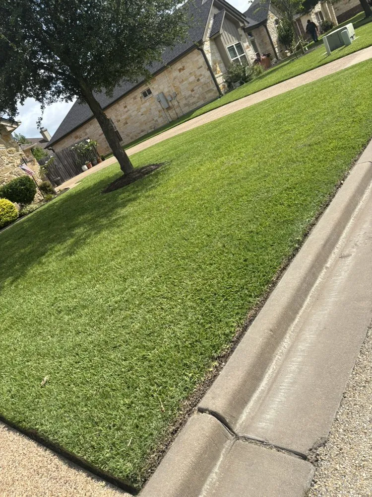 Trusted yard cleanup service for beautiful yards across Lacy-Lakeview, TX - Ortiz Landscaping