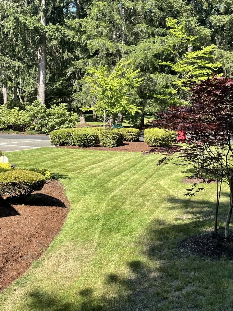 Professional outdoor landscaping in Lakewood, WA - Ortiz Landscaping