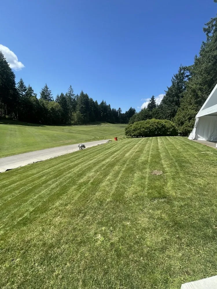 Top-rated outdoor landscaping in Lakewood, WA by Ortiz Landscaping